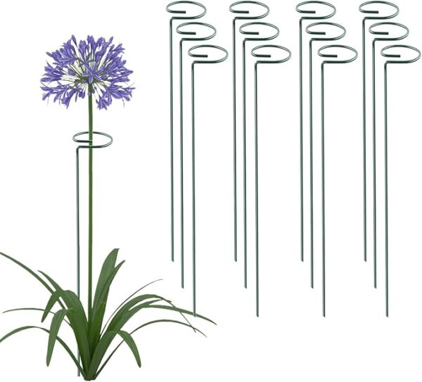 Metal Plant Support Stakes Single Stem Flower Hoops
